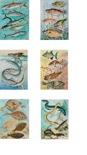 Watercolors of Fish by Charles Yver